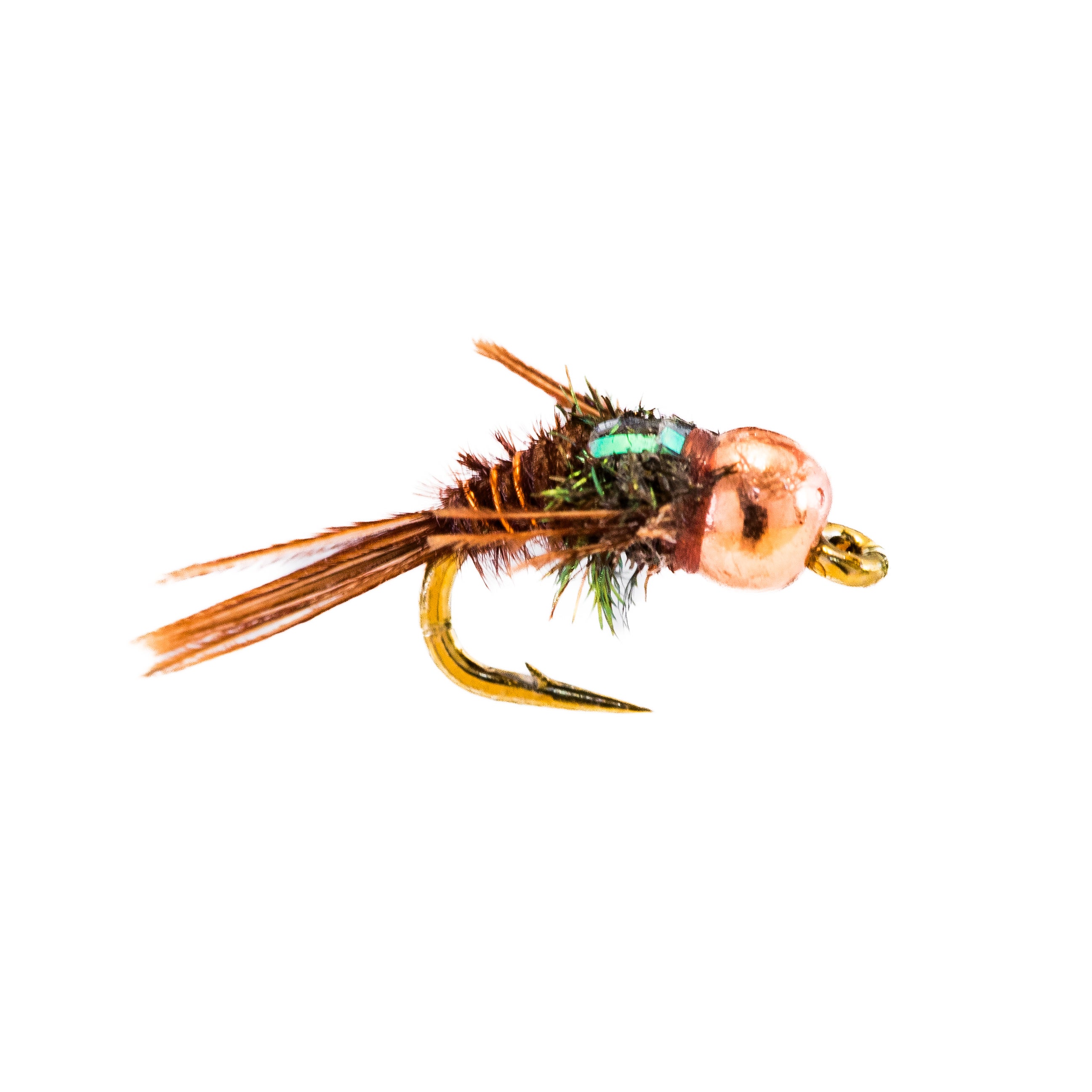 HILLBILLY HEADHUNTERS grass ロカビリー Rocky Mountain Red Bear Kawasaki Team Green™ Battles Through the